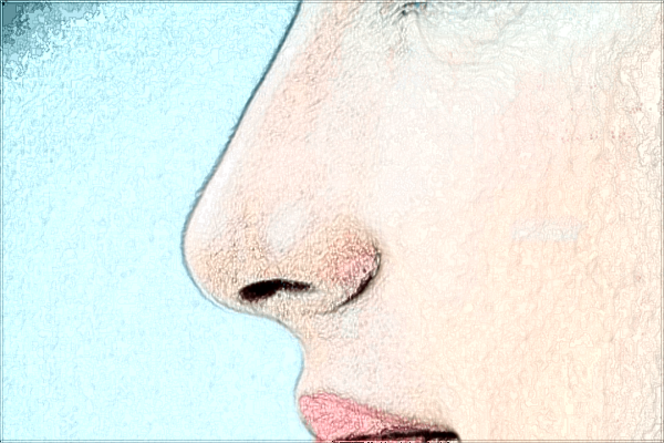 2024價(jià)目表_包括哪幾項(xiàng)