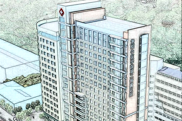 貴陽中醫(yī)學(xué)院二附院脂肪填充怎么樣_醫(yī)生技術(shù)怎么樣