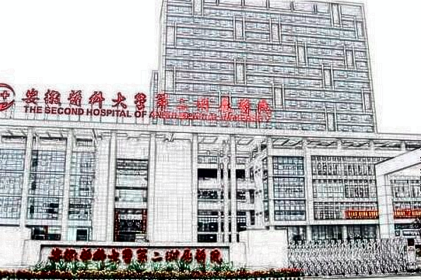 2024安醫(yī)附二院隆鼻多少錢?隆鼻子哪種材料好