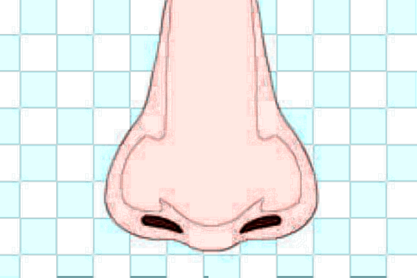 成都百齡做肋骨鼻怎么樣?肋骨鼻手術(shù)費用價格2024