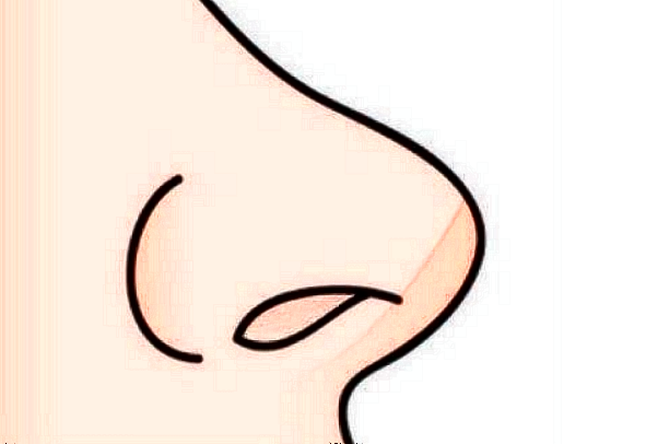 成都百齡做肋骨鼻怎么樣?肋骨鼻手術(shù)費用價格2024