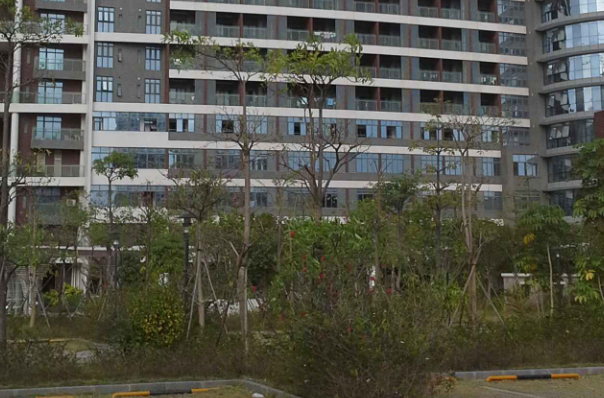 中山大學(xué)附屬第一醫(yī)院口腔科主任好嗎?2024如何收費(fèi)