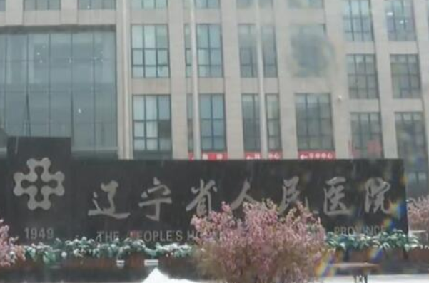 遼寧省人民醫(yī)院根管費(fèi)用多少?整形日記全過(guò)程