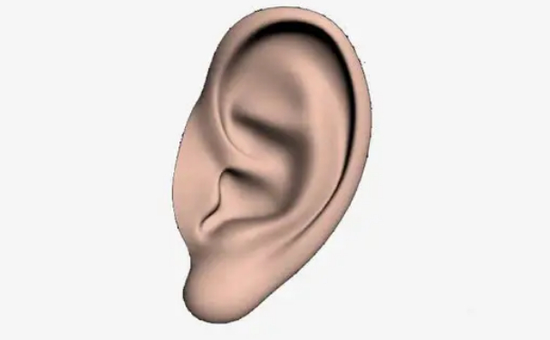 華中科技大學(xué)同濟(jì)醫(yī)學(xué)院醫(yī)院杯狀耳矯正技術(shù)評測怎么樣?術(shù)后半年案例曝光
