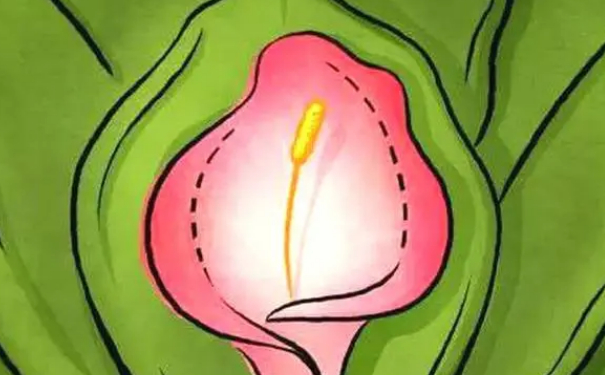 成都微美悅己醫(yī)療美容陰道緊縮價格一覽表?技術(shù)優(yōu)點&半年術(shù)后案例反饋