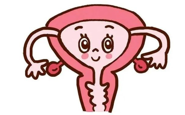 黑龍江藝星美容醫(yī)院私密整形技術(shù)怎么樣?費用標(biāo)準(zhǔn)?術(shù)后三個月案例欣賞