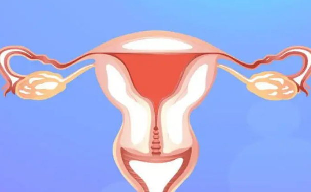 青島新陽(yáng)光婦產(chǎn)醫(yī)院陰道松弛手術(shù)術(shù)后一年案例欣賞&價(jià)格查詢(xún)?