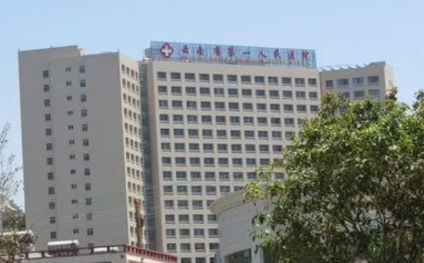 昆明市第一人民醫(yī)院星耀醫(yī)院脂肪填充術后半年案例欣賞&價格明細?