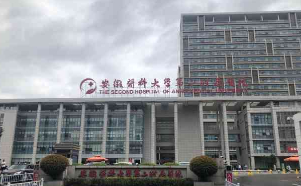 安徽醫(yī)科大學(xué)第二附屬醫(yī)院李紅紅v臉提升手術(shù)怎么樣?需要多少錢?術(shù)后6個月案例&技術(shù)特色