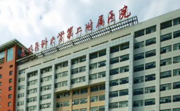 昆明醫(yī)科大學(xué)第二附屬醫(yī)院劉垠疤痕疙瘩修復(fù)技術(shù)怎么樣?醫(yī)生信息