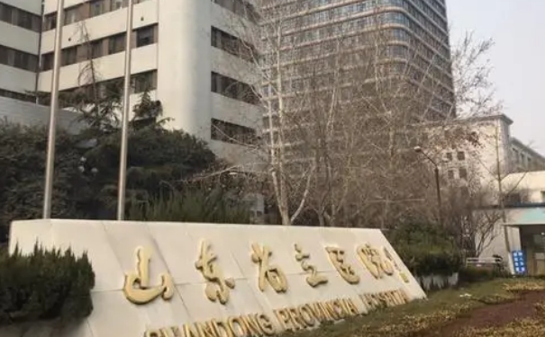 山東省立醫(yī)院巨乳縮小手術(shù)一般多少錢?技術(shù)評測&術(shù)后120天案例